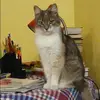 Отзыв от Альфия Пономарева